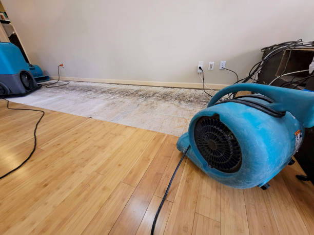 Professional Sewage Cleanup technician working in Millington, MI